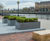 Planters for commercial office landscape, Salford Quays 0