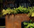 Bespoke corten steel planters, RBGE show garden 8