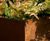 Bespoke corten steel planters, RBGE show garden 10