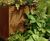 Bespoke corten steel planters 5