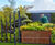 Bespoke corten steel planters, RBGE show garden 1