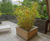 Bespoke planter for fine art studio, Cotswolds residence 1