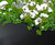 Bespoke planters, Regents Park townhouse redevelopment 5