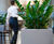 Custom steel planters – Threadneedle Bar, Royal Exchange 5