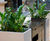 Custom steel planters – Threadneedle Bar, Royal Exchange 7