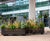 Bespoke planters, South Quay Plaza development 0