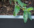 Bespoke powder coated planters for urban development 6