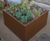Bespoke powder-coated steel planters for Devon Mansions 1