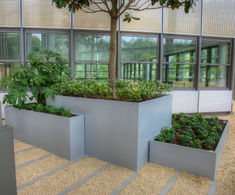 Interior bespoke steel planters for office refurbishment