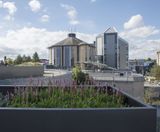 Bespoke steel planters for Bournemouth University - on this page