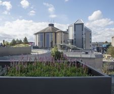 Bespoke steel planters for Bournemouth University
