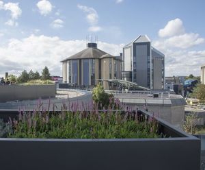 Bespoke steel planters for Bournemouth University