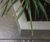 Bespoke steel planters for The Bath House, Jersey 1