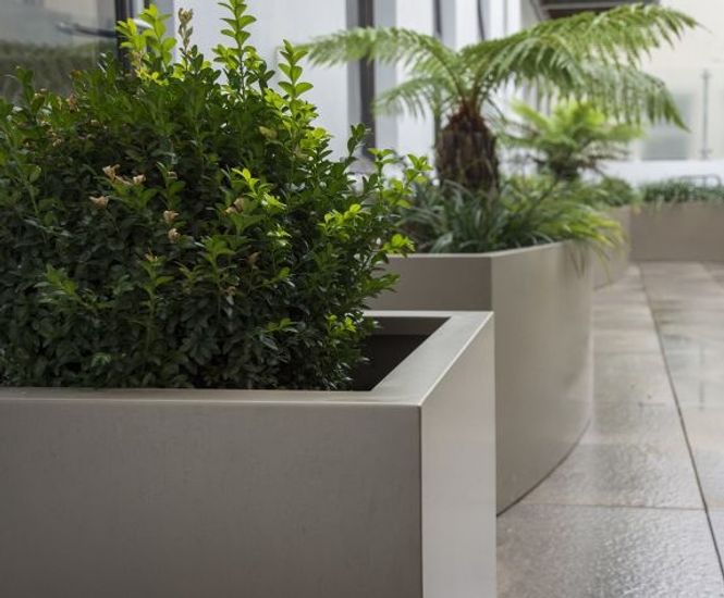 Bespoke steel planters for The Bath House, Jersey