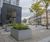 Bespoke steel planters - 40 Torphichen Street, Edinburgh 4