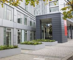 Bespoke steel planters - 40 Torphichen Street, Edinburgh