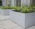 Bespoke steel planters - 40 Torphichen Street, Edinburgh 2