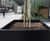 Bespoke steel planters, Edinburgh's largest office block 1