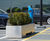 Bespoke movable steel planters for new car dealership 3