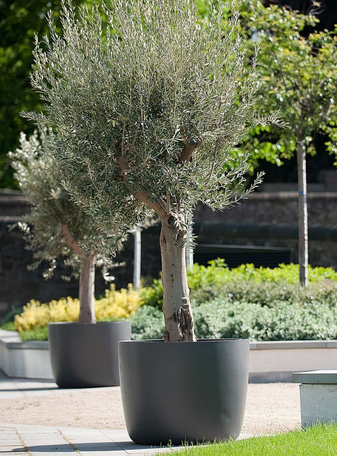 Boulevard KYOTO sculptural FRC planter | IOTA | ESI External Works