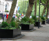 Bespoke steel tree planters for Park Lane hotel - on this page