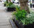 Bespoke steel tree planters for Park Lane hotel 3