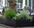 Bespoke steel tree planters for Park Lane hotel 6