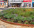 Bespoke corten steel planter-benches for public realm 1