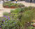 Steel and timber planter-benches 6