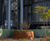 Corten steel planters for iconic London development 8