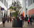 Bespoke aluminium tree planters for retail expansion 4