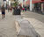 Bespoke aluminium tree planters for retail expansion 5