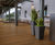 Planters for Royal Opera House restaurant 4