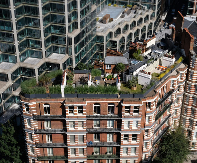 Planters for residents' group roof terrace - Westminster