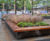 Large bespoke planters with integrated seating for Berkley Homes 4