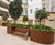 Large bespoke steel planters for residential atrium 6