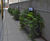 Shrub and tree planters - Big Data Institute, Oxford 4