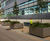 Shrub and tree planters - Big Data Institute, Oxford 9