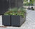 Shrub and tree planters - Big Data Institute, Oxford 8