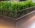Bespoke illuminated street planters for Old Quebec St 5