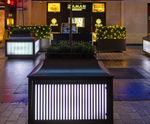 Illuminated planters and bench planters