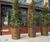 Bronze-finish stainless steel planters 1