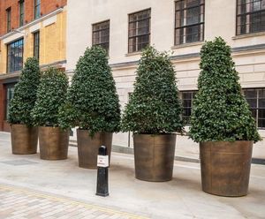 Bronze-finish stainless steel planters