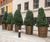Bronze-finish stainless steel planters 0