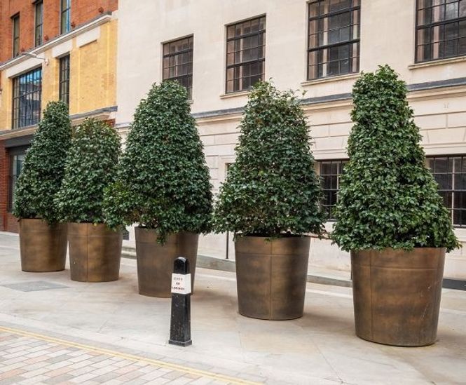 Bronze-finish stainless steel planters