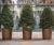Bronze-finish stainless steel planters 5