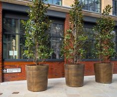 Bronze-clad stainless steel planters - London EC1
