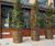Bronze-clad stainless steel planters - London EC1 0