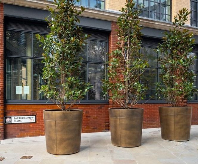 Bronze-clad stainless steel planters - London EC1