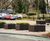 Poppy planters for Bennethorpe War Memorial, Doncaster 5